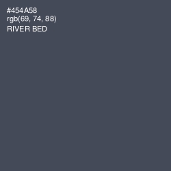#454A58 - River Bed Color Image